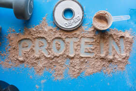 protein, fehérje
