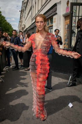 celine dion, sovány, párizs