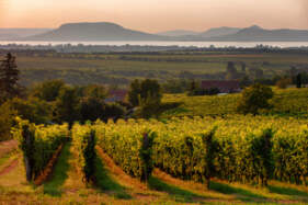 Balaton
